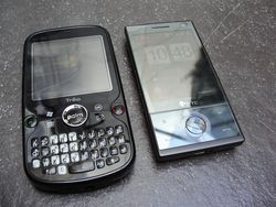 Palm_17