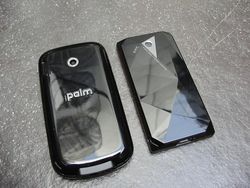 Palm_18