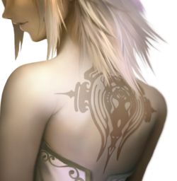 Pandora's Tower Wii (4)