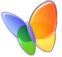 papillon_MSN