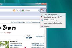 PDF Download screen 1