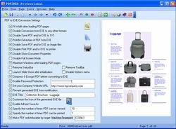 PDF2EXE screen 2