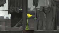 flower (4)
