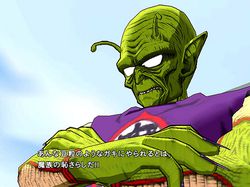 Dragon Ball Wii (8)