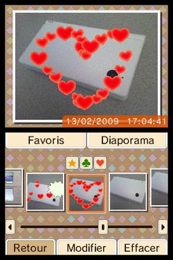 DSi (9)