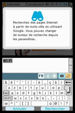 DSi (10)