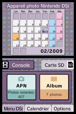 DSi (2)