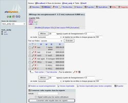 phpMyAdmin screen 1