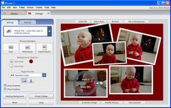 picasa screen
