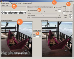 Picture-shark screen 1