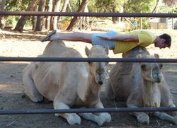 Planking 2