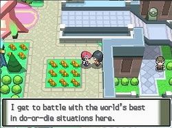 Pok&eacute;mon Version Platine - Image 5