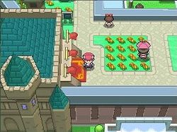 Pokémon Version Platine - Image 6