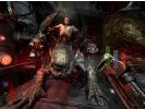 Prey small