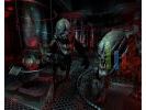 Prey small