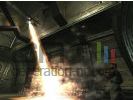 Prey small