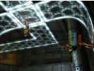 Prey small