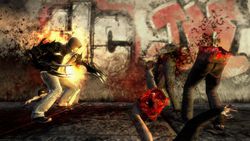 Prototype - 24