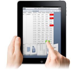 Qlikview iPad