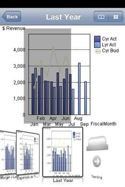 QlikView iPhone 02