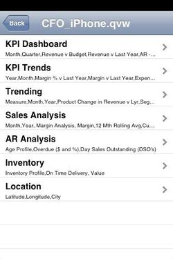 QlikView iPhone 03