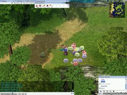 Ragnarok online (2)