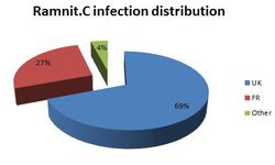 Ramnit-infection