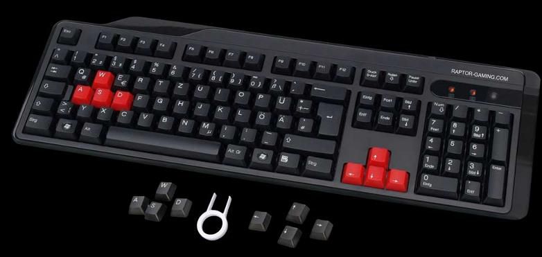 Raptor Gaming LK1