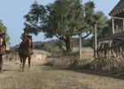Red Dead Redemption (12)