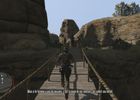 Red Dead Redemption (21)