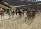Red Dead Redemption (22)