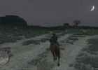Red Dead Redemption (28)