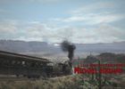 Red Dead Redemption (8)