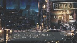 Resonance of Fate (15)