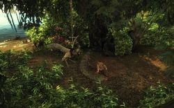 Risen - Image 8