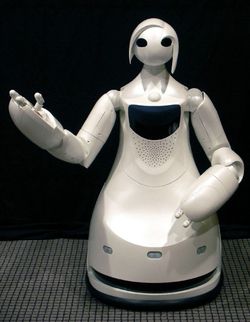Robina toyota