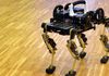 Cheetah-Cub : un robot de la taille d'un chat pour les opérations de sauvetage [vidéo]