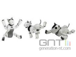 Robot dasatech genibo small