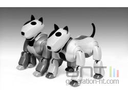 Robot dasatech genibo small
