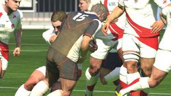 Rugby World Cup 2011 (11)