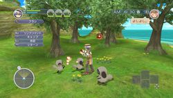 Rune Factory Oceans - 2