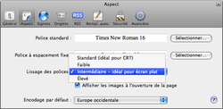 Safari 3, le navigateur de trop ? aspect