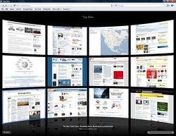 Safari_4_1
