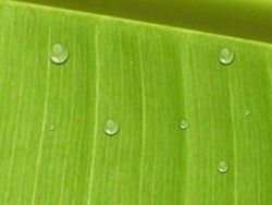 screenshot_waterdrop[1]