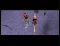 Les Sims 2 Naufrag