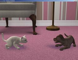 Les Sims Histoires d\'Animaux (10)