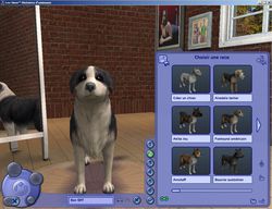 Les Sims Histoires d\'Animaux (11)