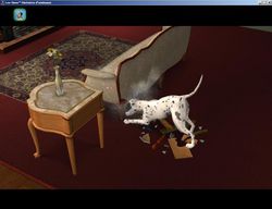 Les Sims Histoires d\'Animaux (7)