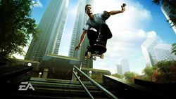 Skate   02