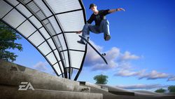 Skate   04
